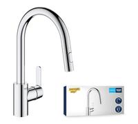 Get Gooseneck single lever sink mixer with extractable 2 jets shower (31484001)