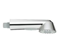 Grohe Universal Pull-out Spout 46769000