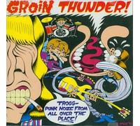 Groin Thunder: a Tribute to the Troggs by Various Artists