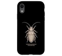 Gromphadorhina Portentosa Hissing Cockroach Art Case for iPhone XR