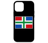 GRONINGEN PROVINCIAL FLAG NETHERLANDS HOLLAND DUTCH Case for iPhone 12 mini