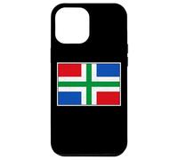 GRONINGEN PROVINCIAL FLAG NETHERLANDS HOLLAND DUTCH Case for iPhone 12 Pro Max