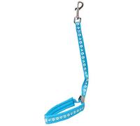 GROOM PROFESSIONAL Audie Padded Dog Grooming Loop Leash - Padding Around Neck for Comfort with Locking Metal Slider, Paw Print Design - 42cm, Cyan Blue