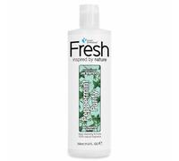 GROOM PROFESSIONAL FRESH Peppermint Purify Dog Shampoo - Deep Cleansing for Smelly Coats - Natural & Moisturising Formula w/Bamboo Extract - Adds Shine & Strengthens Coat - Paraben & SLS-Free, 350ml