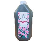 Groomers Limited Edition Botanical Bliss Shampoo