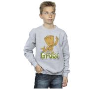 Groot Dancing Sweatshirt Guardians Of The Galaxy Grey 3-4 Years