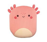 Groovy Axolotl Plush Book