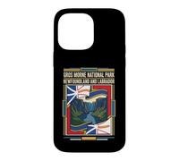 Gros Morne National Park Newfoundland and Labrador Flag Case for iPhone 14 Pro Max