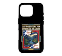 Gros Morne National Park Newfoundland and Labrador Flag Case for iPhone 16 Pro