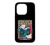 Gros Morne National Park Newfoundland Flag Vintage Art Case for iPhone 15 Pro