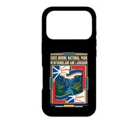 Gros Morne National Park Newfoundland Flag Vintage Art Case for iPhone 17 Pro