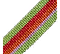 Grosgrain Ribbon 25mm Petersham Ribbon 100% Cotton Assorted Colour Striped Pattern Premium French Woven Ribbon for Sewing Hair Crafts Gift Wrapping Bow Tying (Light Green - 25mm - 10 Meters)