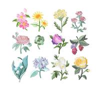 Grospe 12pcs Mini Flowers Iron On Patches, Mini Flowers Embroidery Patches, 12 Patterns Decorative Embroidered Patches,Sew on or Iron on Patch Applique for Bag, Coat, Jeans, Hat, 3*3cm, WHHWM-1