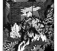 Gross Ghost - Public Housing - Vinyl Record - J3z