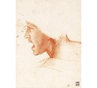 Großer Druck von Da Vinci Study Warriors Head Battle Anghiari Sketch Poster Wandkunst Dekor Bild
