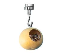 Grotte Araignée Sauteuse - Boîtier Gourde Naturelle Avec Aimant | Enclos pourr Araignées | Décoration Habitat Naturel pour Petits Arachnides Terrarium Maison Intérieur Accessoire Unique