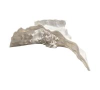 Grotte pour Aquarium | Tunnel Souterrain et Abri pour Poissons | Habitat pours Betta et Corydoras Poisson-Chat, Guppy, Loche, Cichlidé Nain, Crevettes Décoration, Repos Pont de Ponte