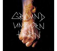 Ground Unicorn Horn - Damn I Wish I Was Fat [7" VINYL]