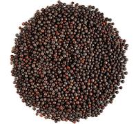 Ground & Whole Spices from Around The World Over 50 Varieties HerbsnSpiceit (Mustard Seeds Brown/Black 50gm)