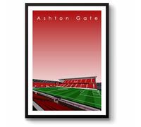 GroundDesigns BRISTOL CITY FC Ashton Gate Stadium Wall Art