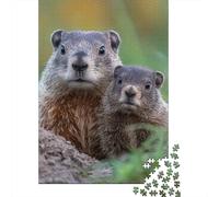 Groundhog 1000 Pieces Thickened Paper Two Marmots Puzzle Grown-Ups Easy Store Relaxation Hobby Engaging Teaser 38x26cm/1000pcs