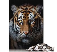 Groundhog Guitar Puzzle 500 Piece Adult Jigsaw Puzzle Puzzles for Adults & Teenager for Adults Puzzles 500pcs (52x38cm)
