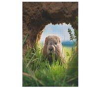 Groundhog Jigsaw Puzzles for Adults 1000 Piece for Kids Woodenboard Puzzle Family Decoration 78×53cm