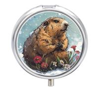 Groundhog Snow Pill Box 3 Compartment Travel Pill Organizer 3 Times A Day Cute Mini Pill Case for Purse & Pocket Portable Metal Medicine Box with Mirror Round Daily Medicine Vitamin Container