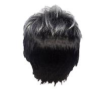 grounds 2X Men Short Straight Wig Ombre Grey Black Synthetic Wig for Male Hair Fleeciness Realistic Natural Toupee Wigs