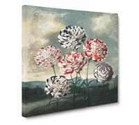 Group of Carnations by Robert John Thornton Canvas Print | Gallery Wrapped 30mm Frame Wall Art | 20x20 inches | Ready to Hang | Retro Picture | Living Room Bedroom Lounge Office