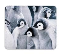 Group Of Emperor Penguin Chicks In The Snow Mouse Mat Portable Mousepad Non-Slip Mouse Pads For Home Work Gaming 25X30Cm