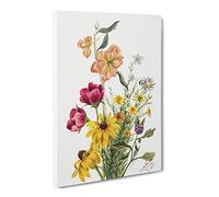 Group Of Flowers Vol.1 By Mary Vaux Walcott Canvas Print | Gallery Wrapped 30mm Frame Wall Art | 24x16 inches | Ready to Hang | Retro Floral Picture | Living Room Bedroom Lounge Office