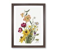 Group Of Flowers Vol.1 By Mary Vaux Walcott Vintage Framed Wall Art Print, Ready to Hang Picture for Living Room Bedroom Home Office Décor, Walnut A2 (64 x 46 cm)