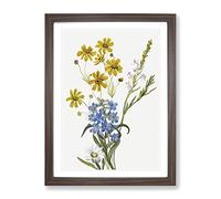 Group Of Flowers Vol.2 By Mary Vaux Walcott Vintage Framed Print | A4 Walnut Framed Wall Art | Ready to Hang | Classic Floral Picture | Living Room Bedroom Lounge Office