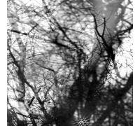 Grouper - Way Their Crept
