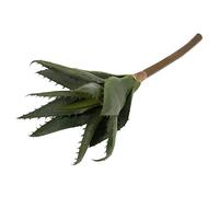 Groves Of Thame Ltd 30cm Artificial Aloe Vera Succulence Bunch, Thick Stemmed Foliage Realistic Leaves