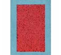 Groves Of Thames Denim Patches: With Sequins: Iron-On: 20 X 15Cm: Light Blue & Red