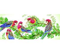 Groves Of Thames E/rosella Gathering - Diamond Painting Kit: Eastern Rosella Gathering - Diamond Dotz
