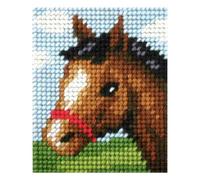 Groves Of Thames Emb Kit Friendly Foal - Needlepoint Kit: My First Embroidery: Friendly Foal - Orchidea