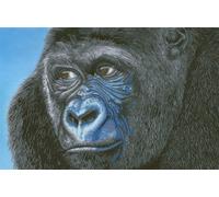 DIAMOND DOTZ Painting Kit: Kibali Western Lowland Gorilla, 100x65cm