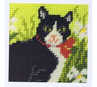 Groves Of Thames Needlepoint Kit: My First Embroidery: Black & White Cat