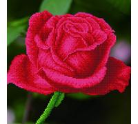 Diamond Dotz - Diamond Painting Kit - Rose Bud