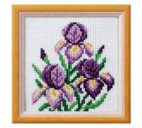 Groves Of Thames Xstitch Kit Iris - Cross Stitch Kit: Iris - Orchidea