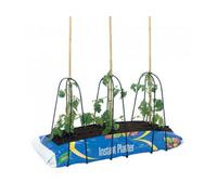 Grow Bag Supports - Pack Of 3, Garden Pride Plant Supports