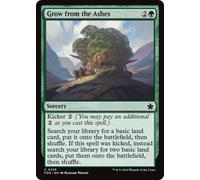 Grow from the Ashes | Foundations