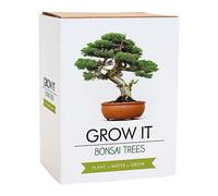 Grow It Bonsai Tree - Grow Your Own Kit Green