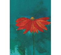 Grow Pocket Journal | Serenade My Soul 6 x 4.5 240 pages: Krishna Kayastha