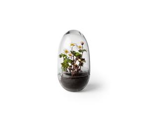 Grow Vase Medium Clear