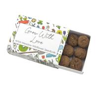 Grow with Love | Artist Mix Seedball Box | Cracker Filler | Mini Gift