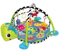 Grow With Me 3-in-1 Baby Activity Gym Play Mat & Ball Pit with Mesh Sides